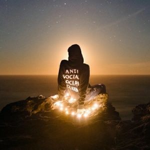 Meet your Posher, Nora